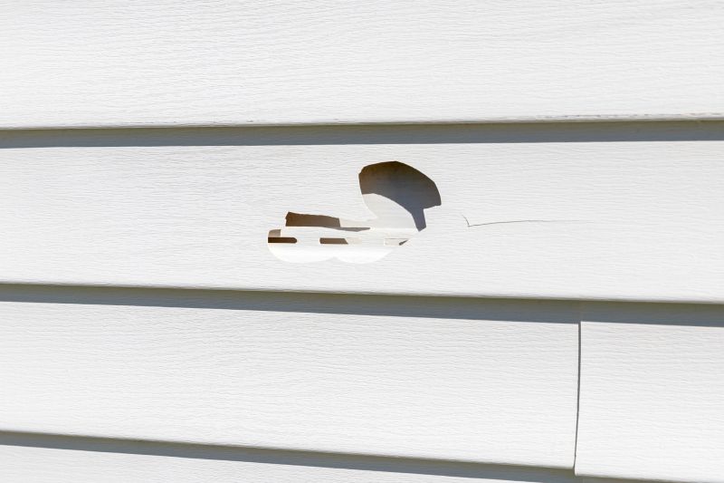 Vinyl Siding Repair Image 11